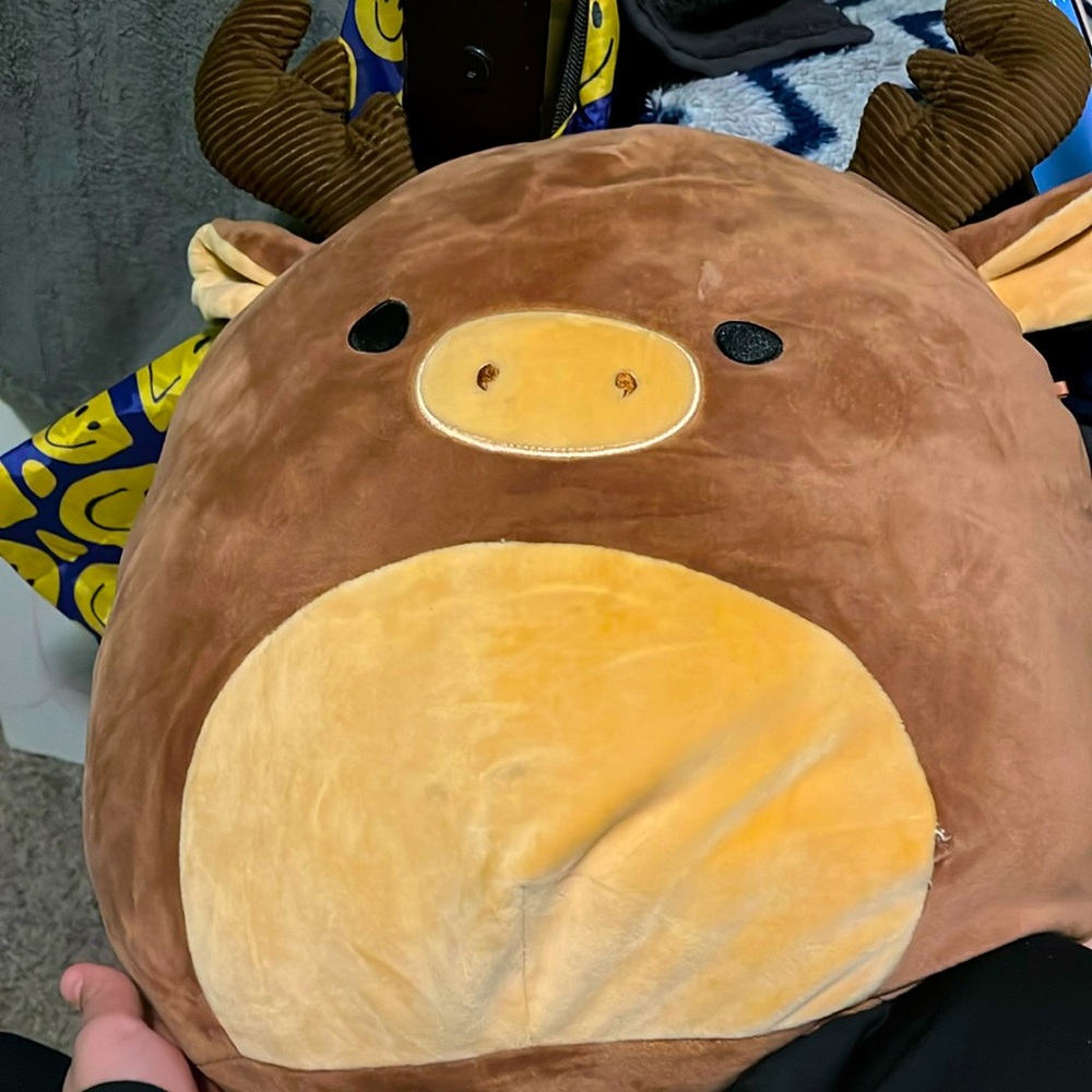 This is a squish, mellow, and his name is Musi